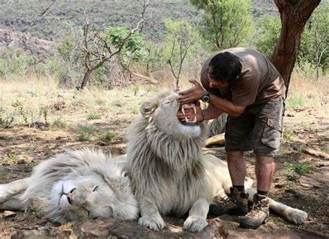 What are best way to find jobs as a Zoologist?