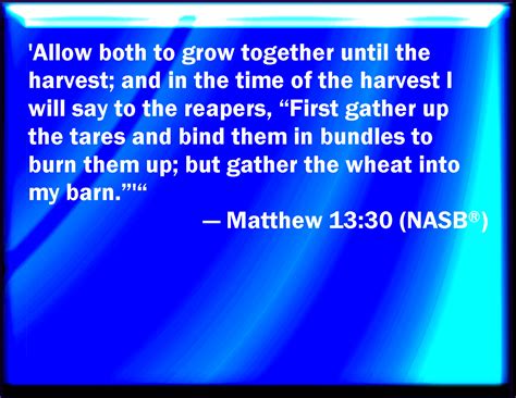 Matthew 1330 Let Both Grow Together Until The Harvest And In The Time