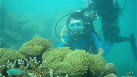 Scuba Diving In Andaman And Nicobar Islands Havelock Island Youtube