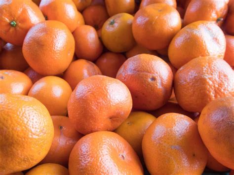 5 Types Of Oranges To Know