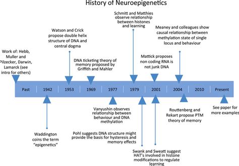 History And Key Concepts Of Behavioral Psychology