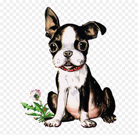 Terrier Drawing Vintage Dog Clip Art Black And White Boston Terrier