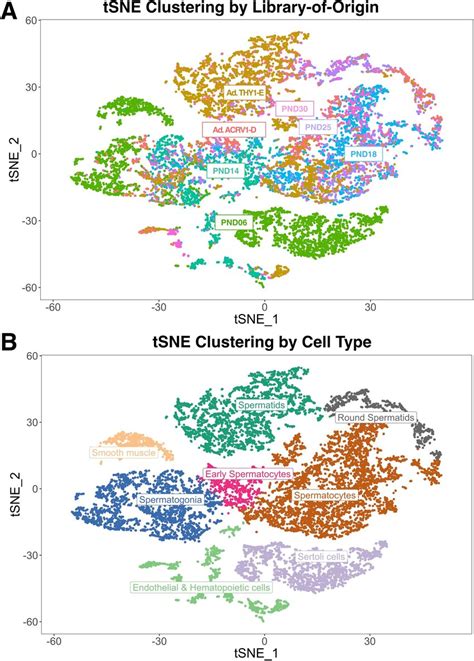 Clustering Of Single Cell Data Into Libraries Of Origin And Cell Type