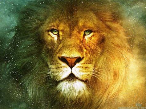 Hd Leeuw Wallpaper Downloaden Lion Spirit Animal Lion Symbolism