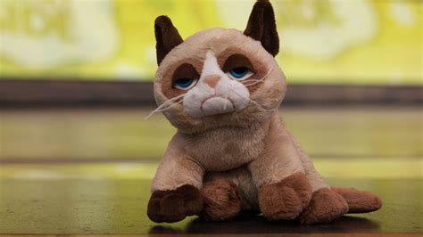 Grumpy Cat Makes Disneyland The Worst Place Ever Yummypets