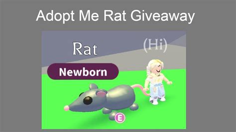 Adopt Me Rat Giveaway Roblox Youtube