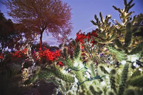 See who's going to ethel m chocolates botanical cactus garden lighting 2021 in henderson, nv! Ethel M Chocolate Factory and Botanical Cactus Gardens