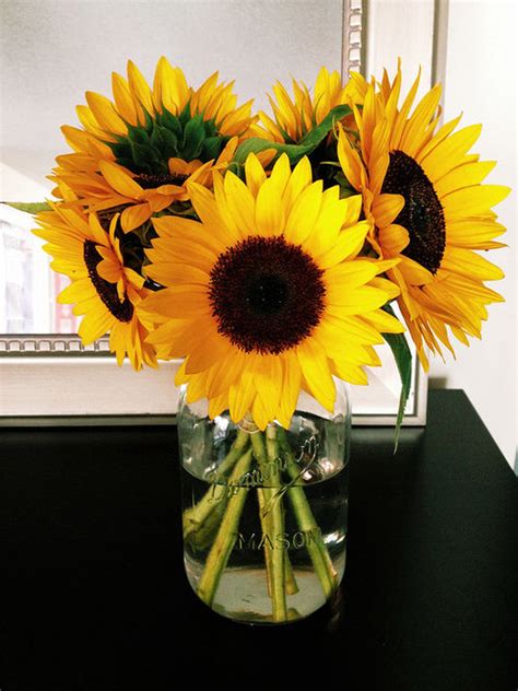 Vase Of Sunflowers Pictures, Photos, and Images for Facebook, Tumblr