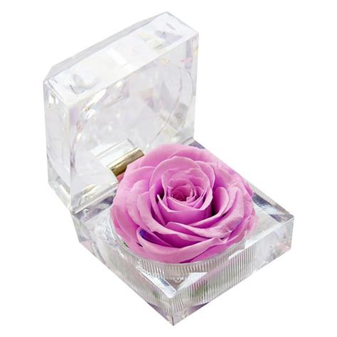 Hxoliqit Engagement Forever Roses Ring Box Valentines Day Ts