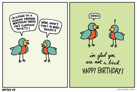 Funny Jokes For A Birthday Card BirthdayBuzz