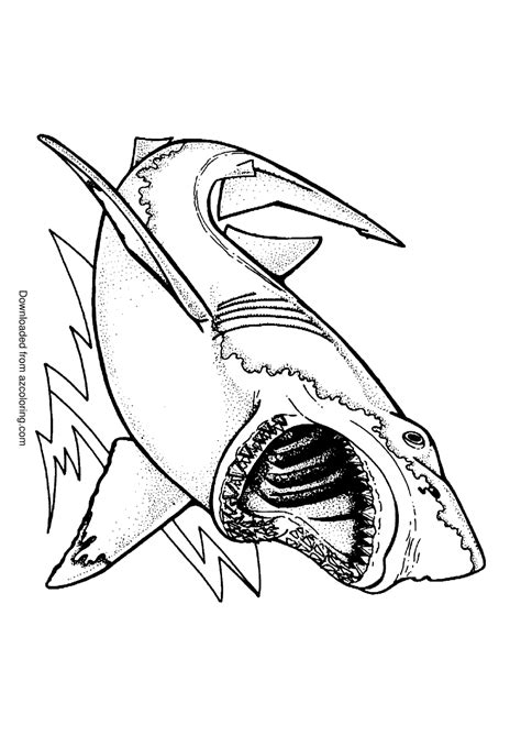 Shark Mouth Coloring Page Download Printable Pdf Templateroller