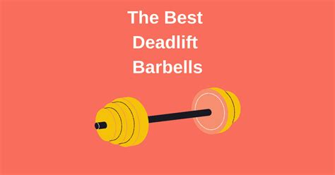 The 5 Best Deadlift Bars 2022 Guide Lift Vault
