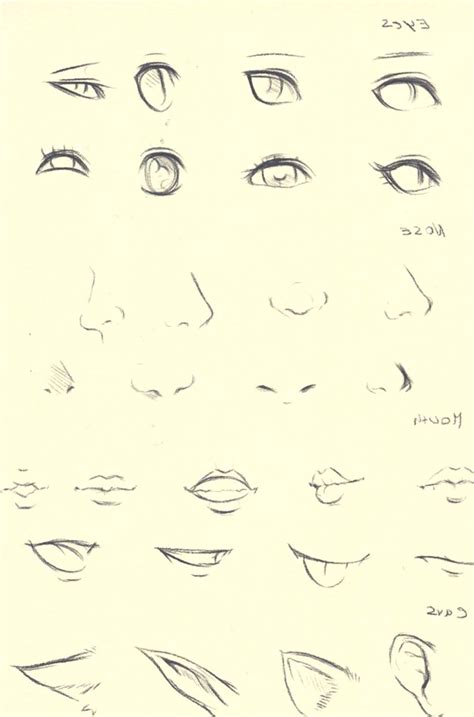 12 Drawing Anime Noses Front View 12 Drawing Anime Noses Front View