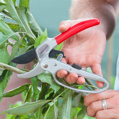 Ratchet Secateurs (Dobies Code) - Garden Hand Tools - Garden Tools - Garden Equipment - Garden ...