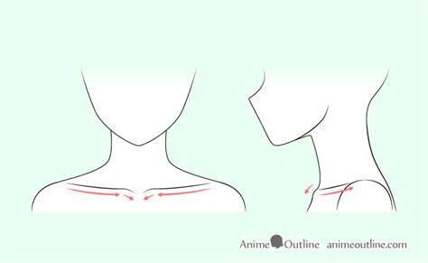 I've compiled some tips and things you need to kn. How to Draw Anime Neck & Shoulders - AnimeOutline