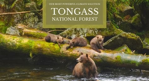 Webcast The Tongass National Forest