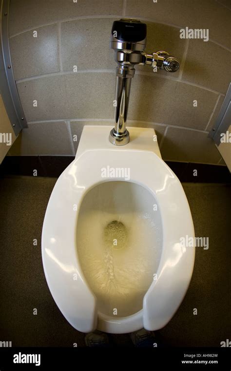 Illinois Chicago Womens Restroom Facility White Toilet Stool Flushing