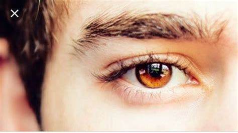Amber eyes… so something like this, or maybe. Pin by Alisson Vinícius on Book Ideas | Brown eyes ...