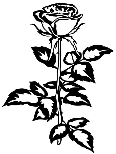Decals are fun ways to advertise or express yourself. ROSE Vinyl Decal Sticker Car Window Bumper Wall Laptop ...
