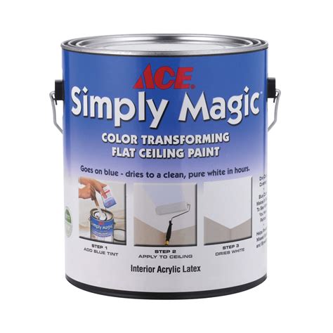 A Look At Ace Paint Colors And How To Choose The Perfect One For Your