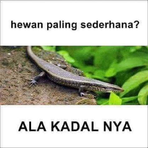 10 Tebak-tebakan Kocak, Jawabannya Bikin Tepok Jidat | Tebak-tebakan, Humor twitter, Lucu