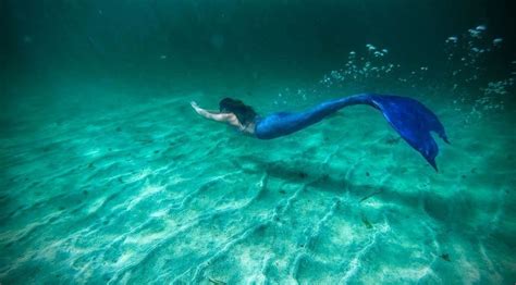 Real Life Scots Mermaid Kate Macleod Admits Fishermen Think Shes Crazy