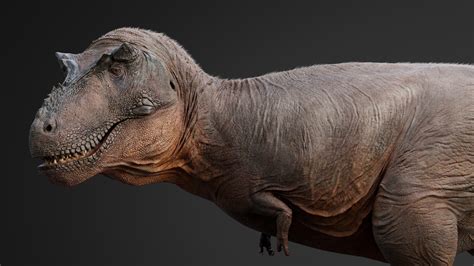 Max Bellomio Tyrannosaurus Rex 3d Model Life Reconstruction Updated