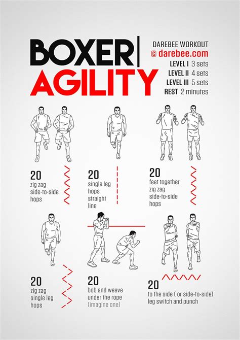 Boxer Agility Workout Agility Workouts Boxing Training Workout
