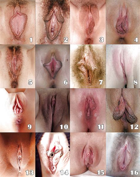 Diffrent Shapes Of Vaginas Xxx Porn