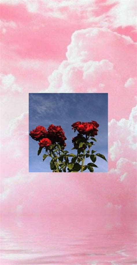 Wall collage picture wall aesthetic iphone wallpaper aesthetic backgrounds flower aesthetic pink photo aesthetic pictures aesthetic colors pastel pink aesthetic. Aesthetic pink flower wallpaper