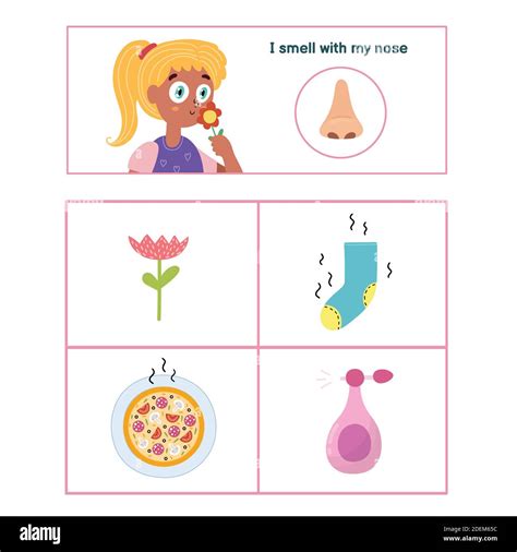 Five Senses Poster Smell Sense Presentation Page For Kids Stock Vector