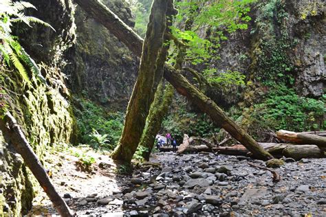 Oneonta Gorge Lower Oneonta Falls Hike Best Time Tips