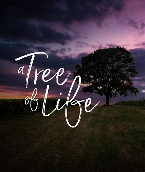 A Tree Of Life Proverbs 316 18 Abide