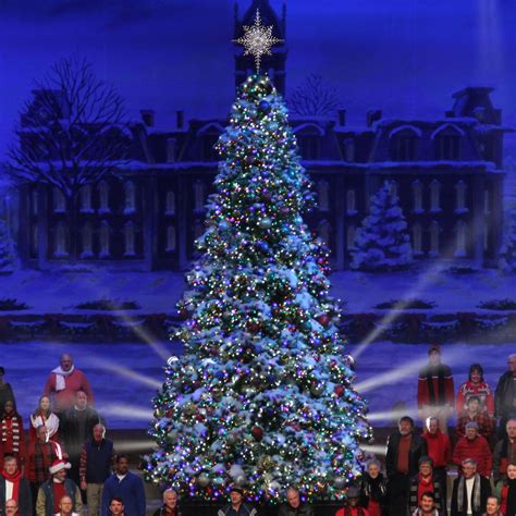 Please feel free to browse existing topics for answers to your travel questions. Giant Everest Fir Christmas Tree with LED lights - 17 ...