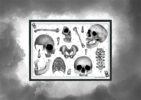 Skull And Bones Tattoo Flash A4 Art Print Anatomical Etsy