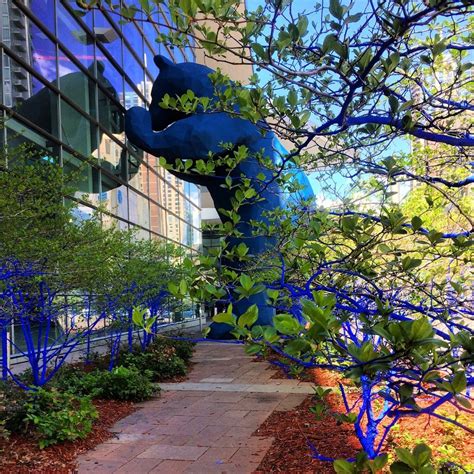 The Blue Trees Courtesy Of Denver Community Planning And Development