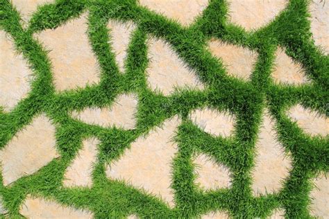 Exterior Floor Tiles With Grass Texture