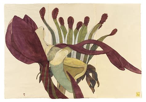 Sarah Graham Selected Works Botanical Painting Botanical Drawings