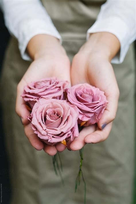 Woman Holding Roses By Alberto Bogo For Stocksy United Hands Holding