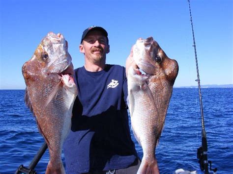 Top 7 Gold Coast Fishing Spots | bajafishing.net | bajafishing.net