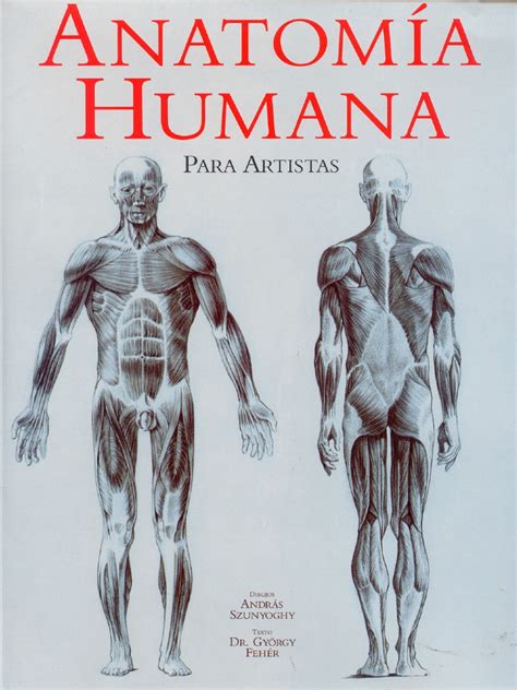 Anatomia Humana Pdf