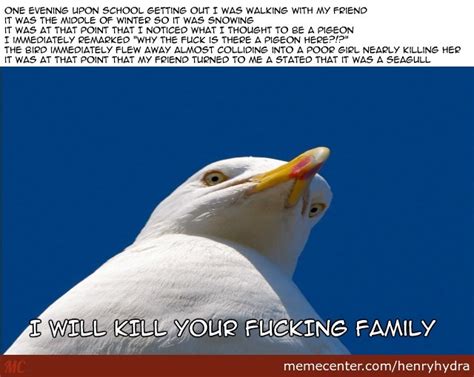 Check spelling or type a new query. Angry Seagull by henryhydra - Meme Center