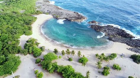 The park houses more than 150 species, and you'll be able to enjoy five different shows designed for you and. Mar Chiquita Beach Manati PR - YouTube
