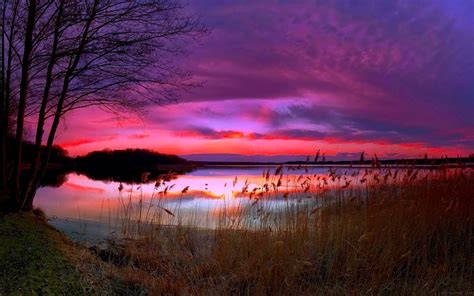 Amazing Purple Sunset Wallpaper Nature And Landscape Wallpaper Better