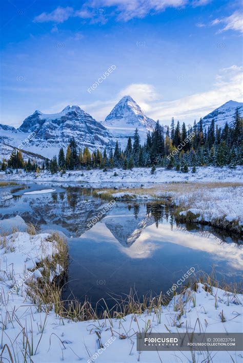 Snow Capped Mountains Reflecting In Water In Mount Assiniboine