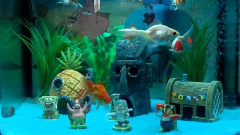 Spongebob Squarepants Fish Tank Setup Youtube