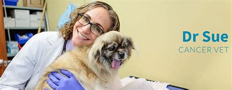 The only types of cancer that are more frequently seen in humans than in small animals are not surprising: What to Do with The Scary News Your Dog Has Lung Cancer ...