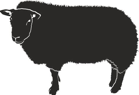 Sheep Silhouette Clip Art Black Sheep Png Download 50