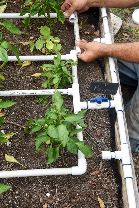 Raised Bed Drip Irrigation Watering System Drip Irrigation Watering