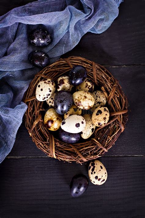 Easter Still Life Easter Eggs Stock Photo Image Of Decor Nest 90386580